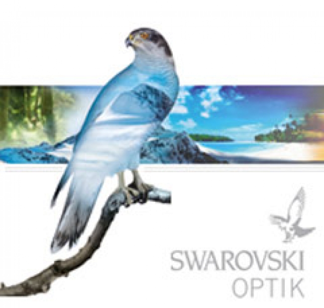 Swarowski optik